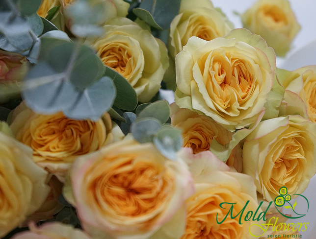 Букет из желтых кустовых роз с эвкалиптом Фото